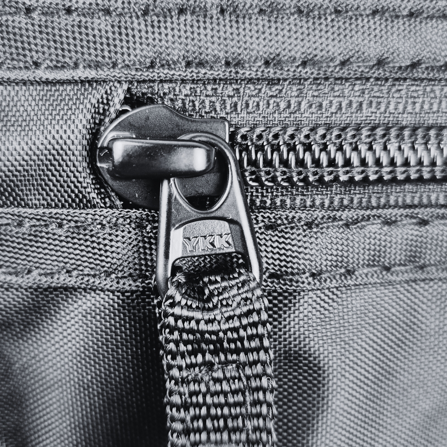 Money Belt