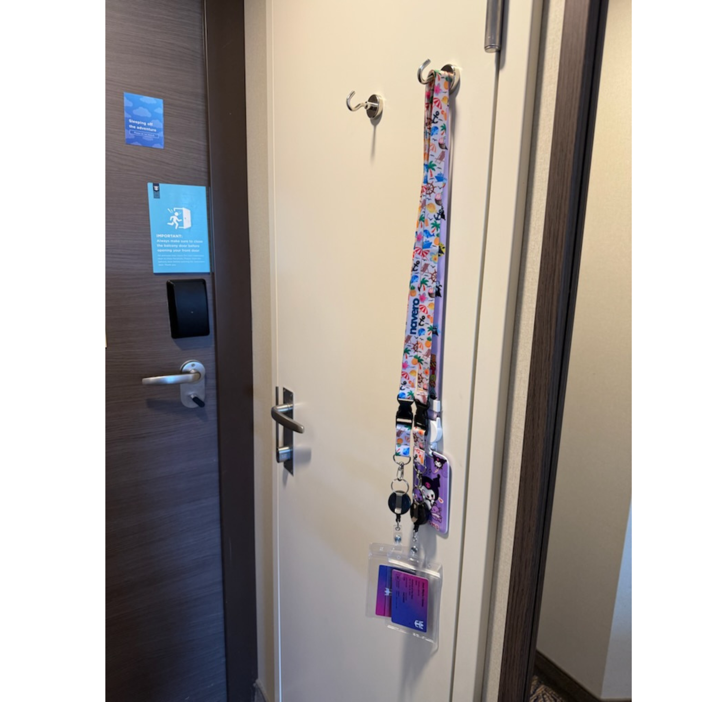 Magnetic Cabin Wall Hooks (x6)